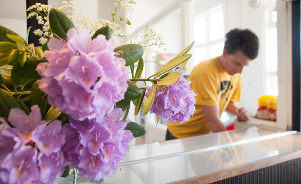 Ronneby Brunnspark Vandrarhem Och B&B Екстериор снимка